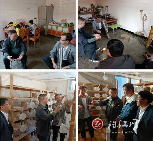 中国电信曲靖分公司：数字乡村助力乡村振兴“蜂”起云涌